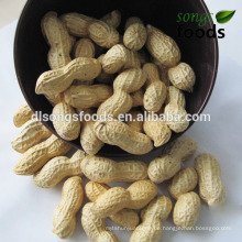Snack/Chinese New Crop Erdnussschale/Geröstete Erdnüsse